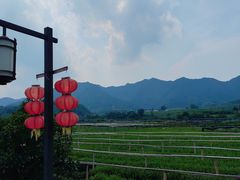 -龙坞茶村