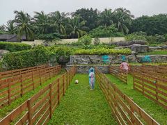 -三亚亚龙湾天域度假酒店