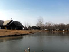 -西安浐灞国家湿地公园