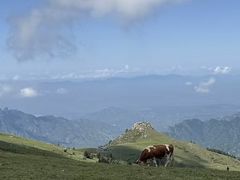 -灵山
