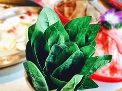 -大龙燚火锅(长寿路店)