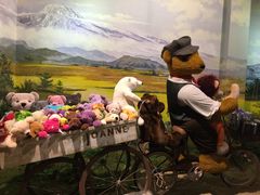 -济州岛泰迪熊博物馆