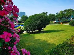 -洪湖湿地生态园