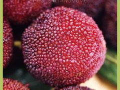 -温州一家人美食(西木头市店)