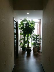 -源素美容养生会所