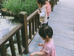 -五缘湾湿地公园