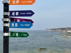 -海岛日记(养马岛店)