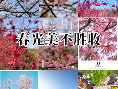 -丹樱生态园