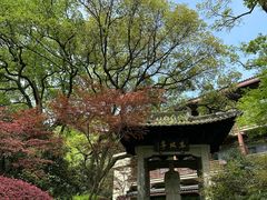 -杭州花家山庄