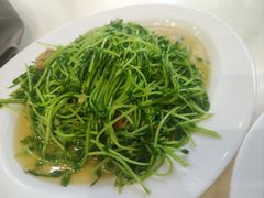 -日日香卤鹅饭店·澄海狮头鹅(澄海店)