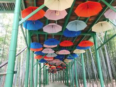 -陶祖圣境风景区