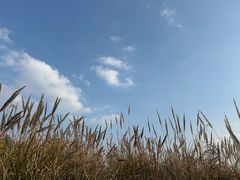 -金堂县云顶石城风景区