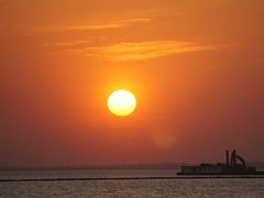 -合肥滨湖国家森林公园