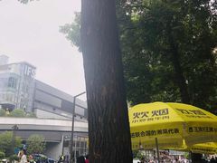-炊烟小炒黄牛肉(中心印象城店)