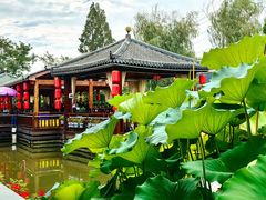 -醉香隆.山水庭院.湖北菜(东湖店)