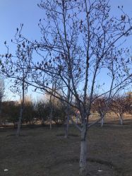 -大望京儿童游乐场