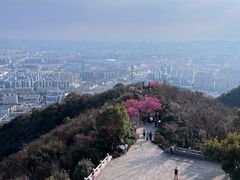 -杭州半山国家森林公园