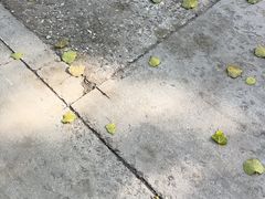-杨家埠民间艺术大观园