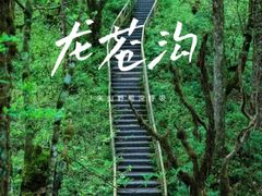 -龙苍沟森林公园