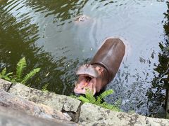-海南热带野生动植物园