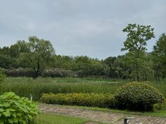 -滨湖塘西河公园