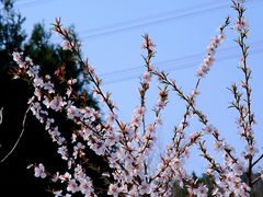 -定都阁