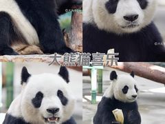 -天津市动物园
