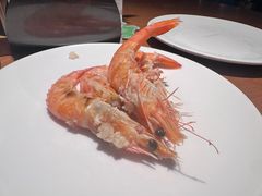 -拉蒂娜·巴西牛排馆 Latina·Brazilian Steakhouse(王府井喜悦店)