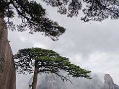 -黄山风景区