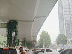-聂师傅油焖大虾