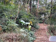 -岳麓山风景名胜区