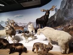 -陕西自然博物馆