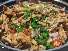 青椒紫苏锅-蛙小侠(珠海华发商都店)