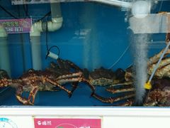 -宝健路步行街(Pedestrian Shopping Street)