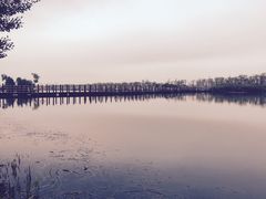 -芒洲湿地公园