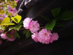 -采石矶景区
