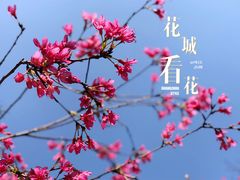 -广州珠江公园