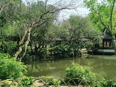 -上海醉白池公园