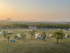 -春花秋色城市公园