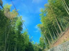 -江南天池