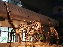 -自贡恐龙博物馆