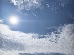 -广东惠东海龟国家级自然保护区