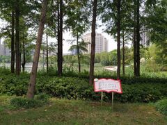 -南翔镇银翔湖公园