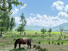 -泸沽湖国家级风景名胜区走婚桥