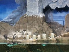 -成都浩海立方海洋公园