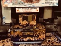 -蟹道乐(道顿堀本店)