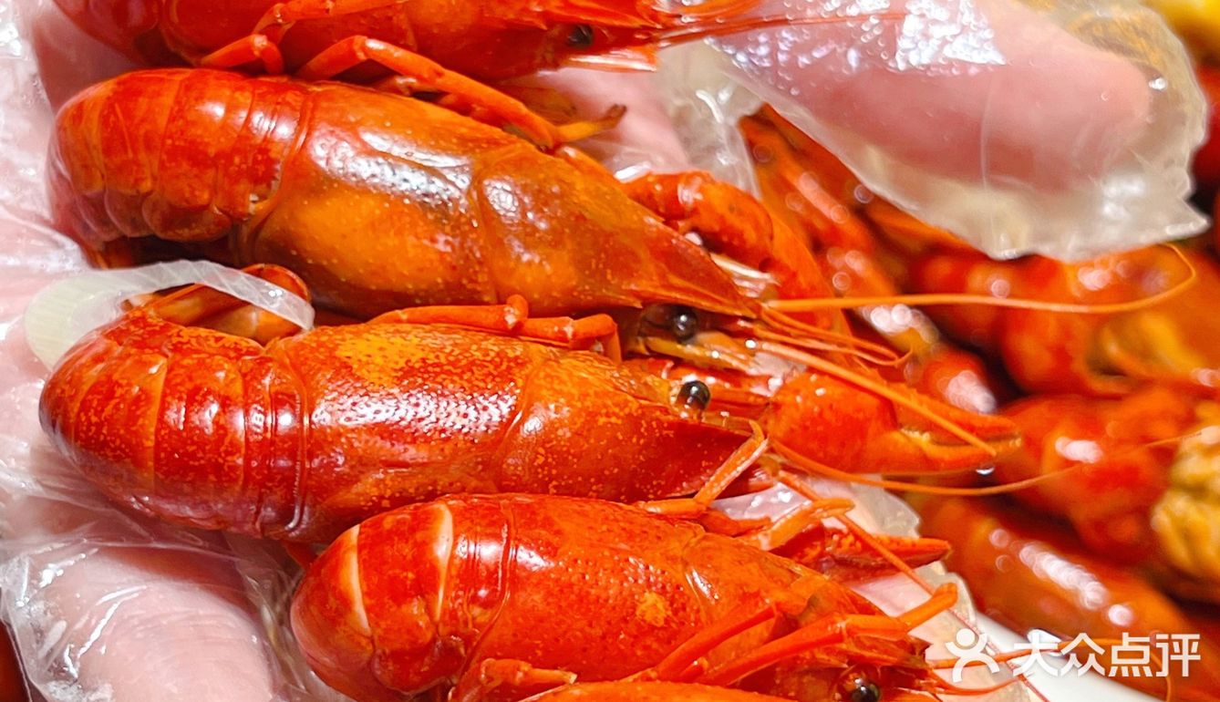 拙味兄弟龙虾🦞开到北仑啦！金汤蒜泥味绝了！