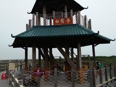 -北海金海湾红树林生态旅游区