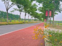 -上海长兴岛郊野公园