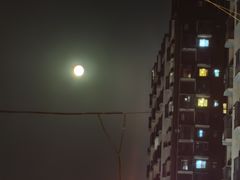 -陈记卤煮小肠
